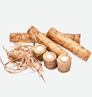 Burdock Root: A Culinary Treasure with Health Benefits - CCell Solutions Academy