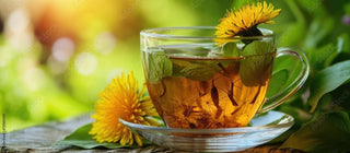 Unveiling the Power of Dandelion Root: A Comprehensive Guide - CCell Solutions Academy