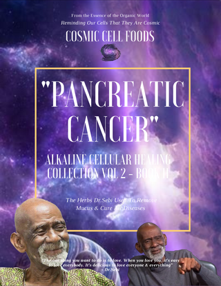 "PANCREATIC CANCER" Alkaline Cellular Healing Collection Vol 2 - BOOK  11