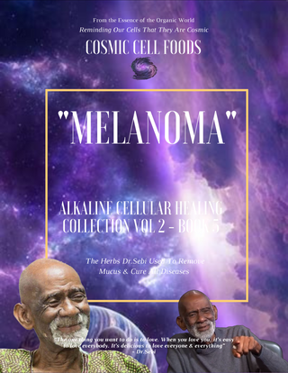 "MELANOMA" Alkaline Cellular Healing Collection Vol 2 - BOOK  5