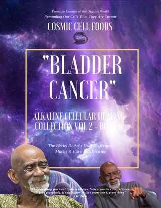 "BLADDER CANCER" Alkaline Cellular Healing Collection Vol 2 - BOOK  6