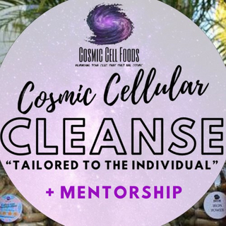 Cosmic Cellular Therapy Cleanse + Mentorship "1 MONTH"