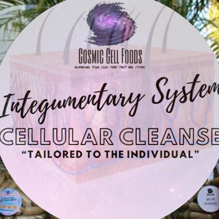 Integumentary System Cellular Therapy Cleanse