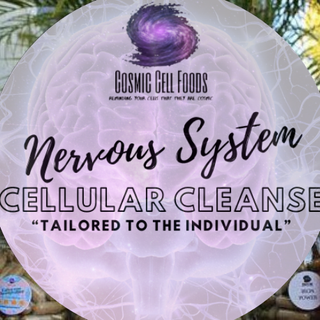 Nervous System Cellular Therapy Cleanse