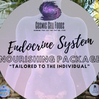 Endocrine System Cellular Nourishing Package
