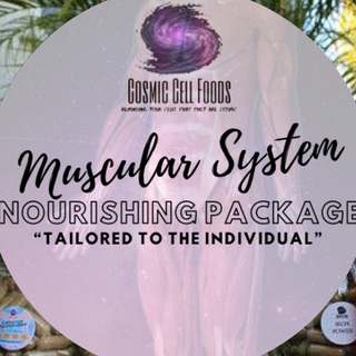 Muscular System Cellular Nourishing Package