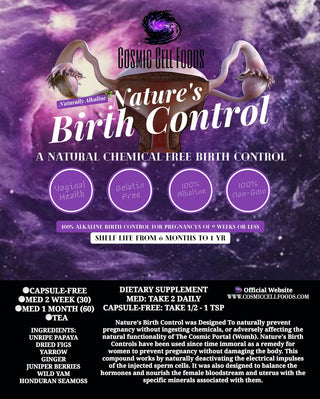 NATURES BIRTH CONTROL - A Natural Chemical-FREE Birth Control - The Cosmic Chef